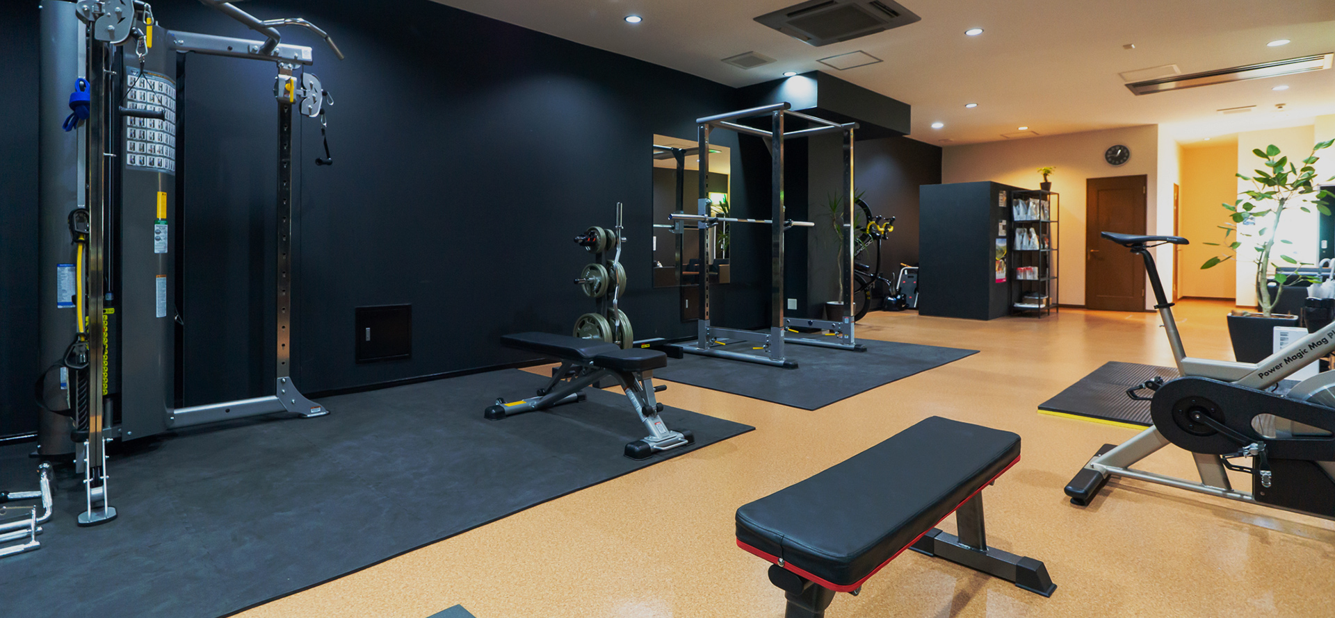 Stylish Aging Private Gym